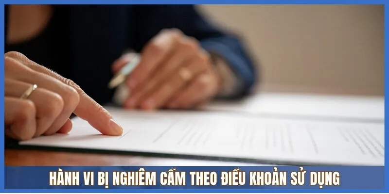 Chính sách cập nhật điều khoản sử dụng