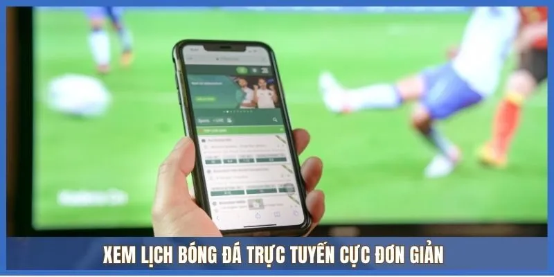 Cung cấp lịch thi đấu toàn diện các giải đấu